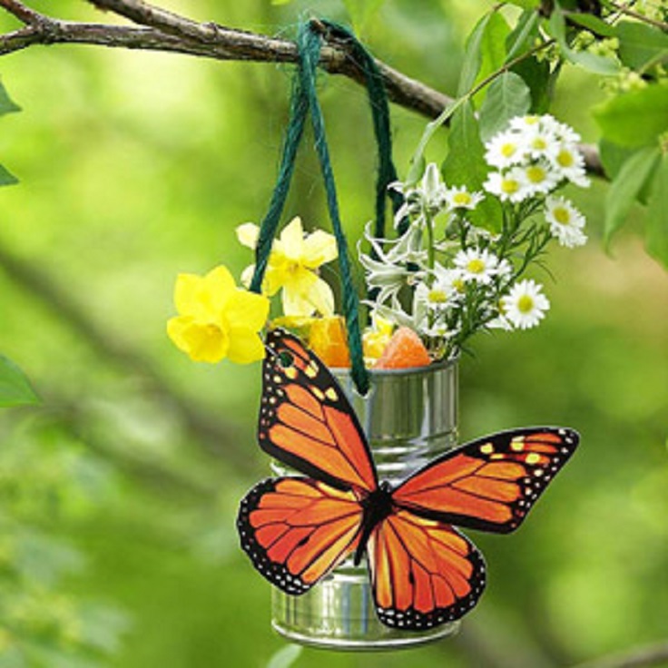 Butterfly Feeder